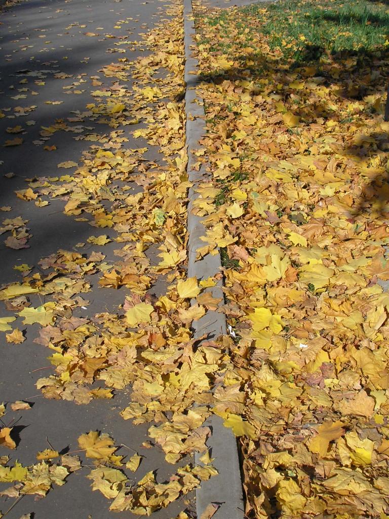 pa012672.jpg