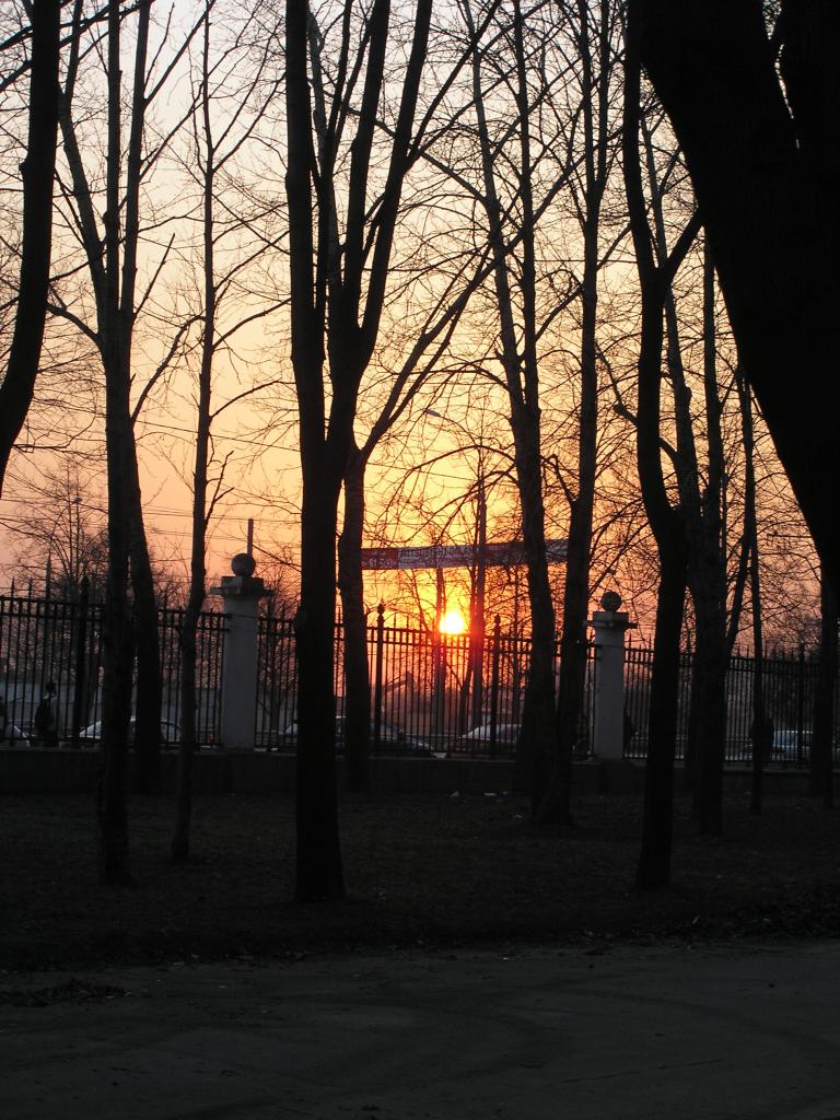 p3296995.jpg.jpg