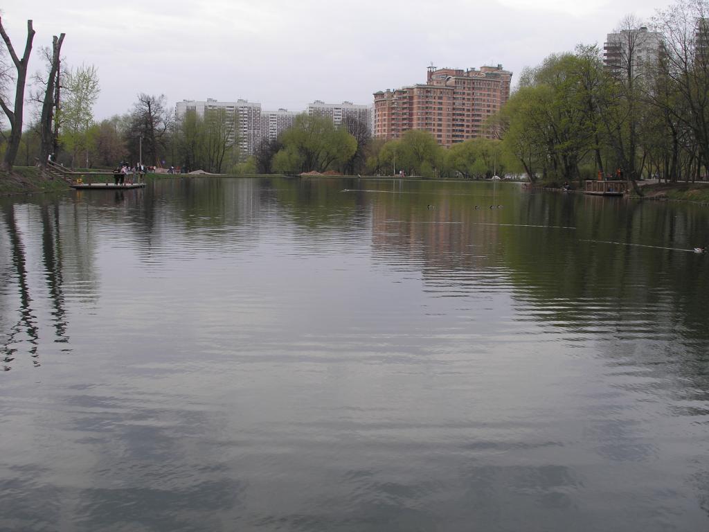 p4277176.jpg.jpg